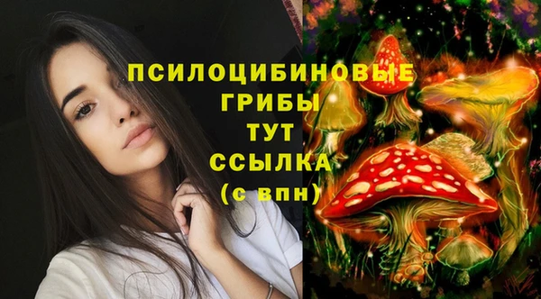 MDMA Premium VHQ Богданович