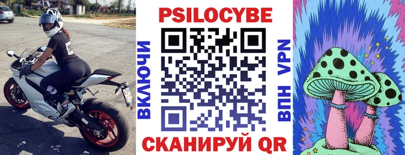 Купить  Советская Гавань  Галлюциногенные грибы Cubensis 